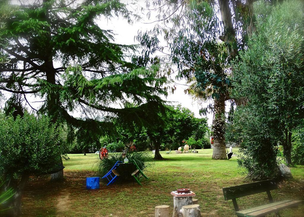 Apartments Karpetis A Green Paradise Psakoudia Exterior foto